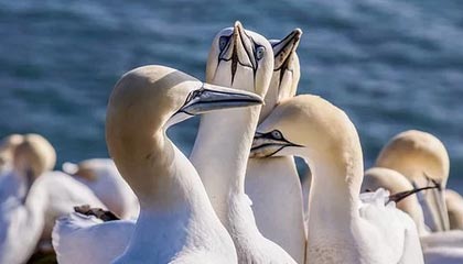 C7娱乐APP|电子竞技赛事v8.7.3