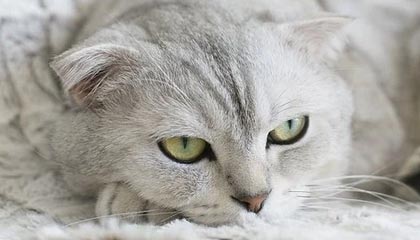 C7娱乐APP|综合体育赛事v5.2.7