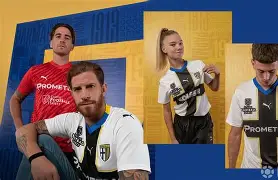 帕尔马主场击倒对手，领跑积分榜的简单介绍