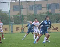 欧洲足球联赛有观众吗